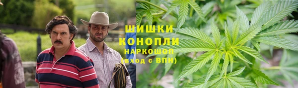 стафф Козельск