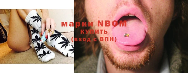 стафф Козельск