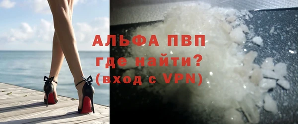 стафф Козельск