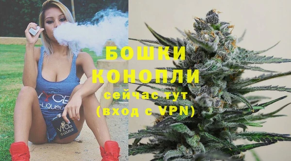 стафф Козельск