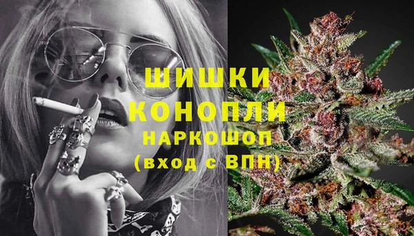 стафф Козельск