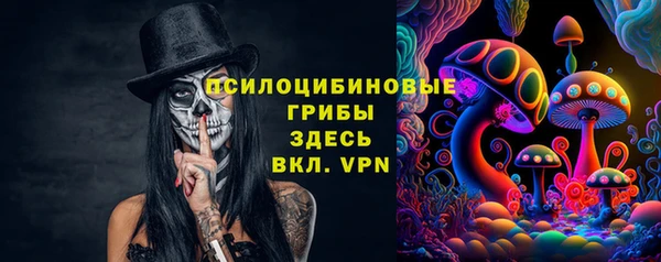 PSILOCYBIN Кодинск