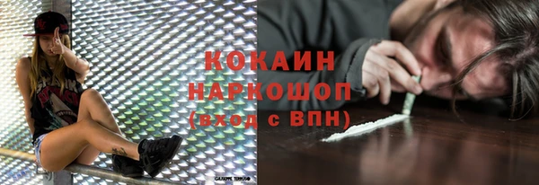стафф Козельск