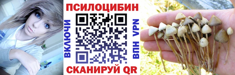 Галлюциногенные грибы Magic Shrooms  KRAKEN ССЫЛКА  Юхнов 